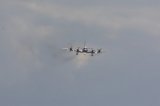 Dcim17432/DSC_7515