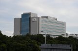 DSC_6523