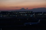 DSC_6564