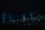 DSC_1429