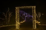 DSC_1461
