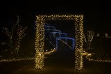 DSC_1468
