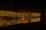 DSC_1485