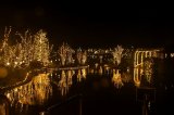 DSC_1499