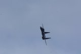 Dcim17503/DSC_0735