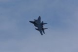 Dcim17503/DSC_0789
