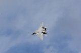 Dcim17503/DSC_0825
