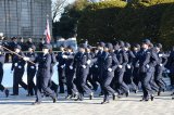 Dcim17536/DSC_4125