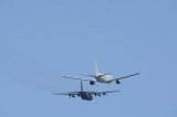 Dcim17572/DSC_3197