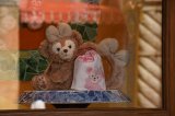 Dcim17596/DSC_0415