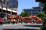 Dcim17719/DSC_3840