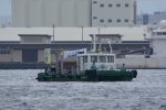 Dcim17812/DSC_9773