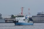 Dcim17812/DSC_9786