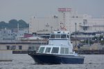 Dcim17812/DSC_9816