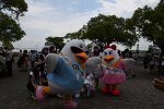 Dcim17814/DSC_3580