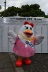 Dcim17814/DSC_3599