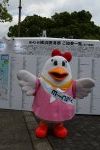 Dcim17814/DSC_3601