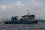 Dcim17815/DSC_3728