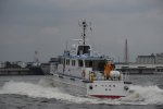 Dcim17816/DSC_3860