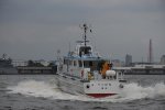 Dcim17816/DSC_3861