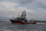 Dcim17816/DSC_3887