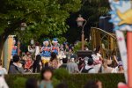 Dcim17845/DSC_0931