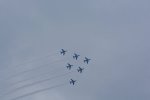 Dcim17854/DSC_1461