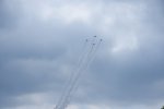 Dcim17855/DSC_7842