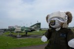 Dcim17861/DSC_1521