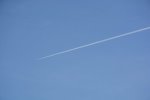 Dcim17861/DSC_1559