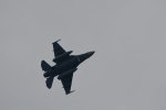 Dcim17863/DSC_8642