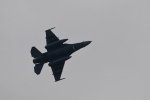 Dcim17863/DSC_8643