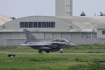 Dcim17863/DSC_8773