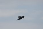 Dcim17889/DSC_1611