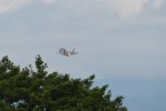 Dcim17892/DSC_2061