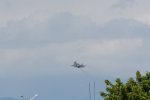 Dcim17893/DSC_2287