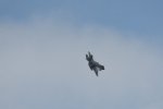 Dcim17894/DSC_2358