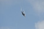 Dcim17894/DSC_2370