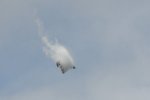 Dcim17894/DSC_2418