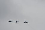 Dcim17895/DSC_2566