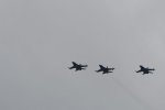 Dcim17895/DSC_2567