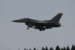 Dcim17895/DSC_2634