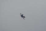 Dcim17896/DSC_2702