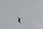Dcim17896/DSC_2761