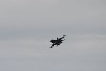 Dcim17896/DSC_2769