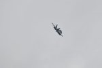 Dcim17897/DSC_2915