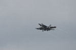 Dcim17897/DSC_2917