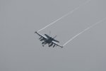 Dcim17898/DSC_2954
