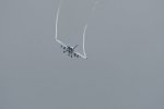 Dcim17898/DSC_2972