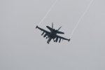Dcim17898/DSC_2991